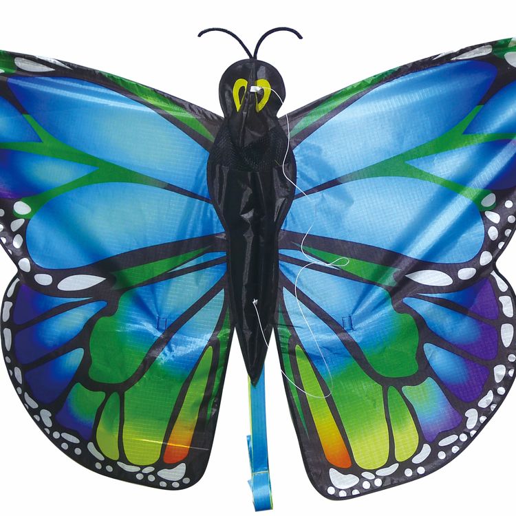 Drache Einleiner Susi Schmetterling 4mm Fiberglas 126x50cm Flugdrache Drache Einleiner Schmetterling ab 6 Jahre 4 mm Fiberglas 126 x 50 cm Flugdrache Herbst Drachen steigen Ostsee Nordsee