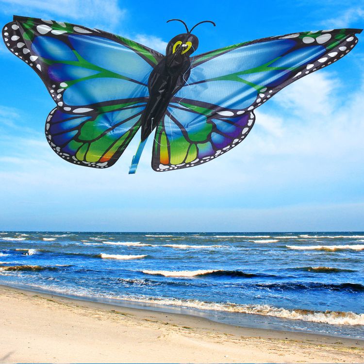 Drache Einleiner Susi Schmetterling 4mm Fiberglas 126x50cm Flugdrache Drache Einleiner Schmetterling ab 6 Jahre 4 mm Fiberglas 126 x 50 cm Flugdrache Herbst Drachen steigen Ostsee Nordsee