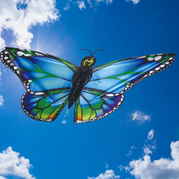 Drache Einleiner Susi Schmetterling 4mm Fiberglas 126x50cm Flugdrache Drache Einleiner Schmetterling ab 6 Jahre 4 mm Fiberglas 126 x 50 cm Flugdrache Herbst Drachen steigen Ostsee Nordsee