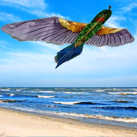 Drache Einleiner tropischer Vogel ab 6 Jahre 4 mm Fiberglas 165 x 75 cm Flugdrache Herbst Drachen steigen Ostsee Nordsee Drache Einleiner tropischer Vogel ab 6 Jahre 4 mm Fiberglas 165 x 75 cm Flugdrache Herbst Drachen steigen Ostsee Nordsee