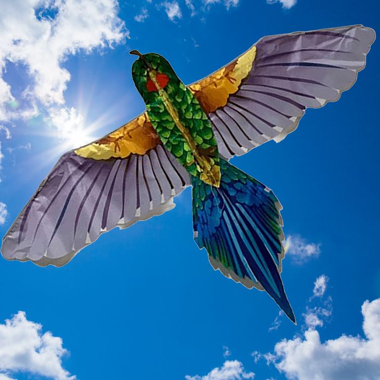 Drache Einleiner Veit Vogel Tropical  4mm Fiberglas 165x75cm Drache Einleiner tropischer Vogel ab 6 Jahre 4 mm Fiberglas 165 x 75 cm Flugdrache Herbst Drachen steigen Ostsee Nordsee