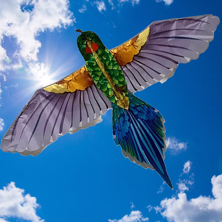 Drache Einleiner tropischer Vogel ab 6 Jahre 4 mm Fiberglas 165 x 75 cm Flugdrache Herbst Drachen steigen Ostsee Nordsee Drache Einleiner tropischer Vogel ab 6 Jahre 4 mm Fiberglas 165 x 75 cm Flugdrache Herbst Drachen steigen Ostsee Nordsee