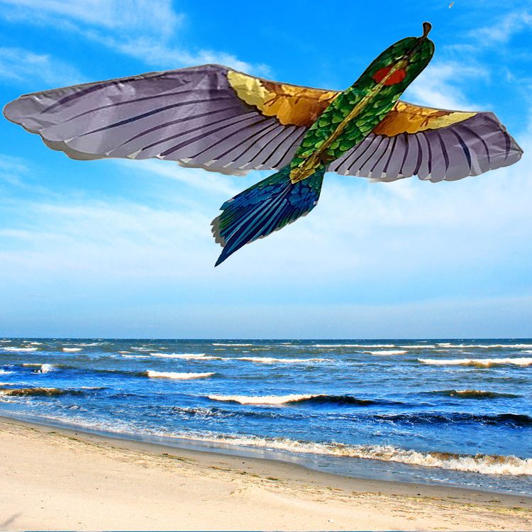 Drache Einleiner Veit Vogel Tropical  4mm Fiberglas 165x75cm Drache Einleiner tropischer Vogel ab 6 Jahre 4 mm Fiberglas 165 x 75 cm Flugdrache Herbst Drachen steigen Ostsee Nordsee