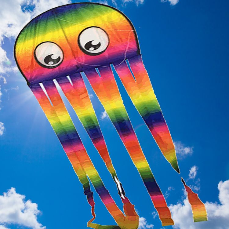 Drache Einleiner Karl Krake bunt 4mm Fiberglas 230x48 cm Flugdrache Drache Einleiner Krake bunt ab 6 Jahre 4 mm Fiberglas 230 x 48 cm Flugdrache Herbst Drachen steigen Ostsee Nordsee