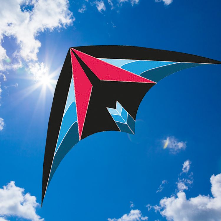 Lenkdrache Optimus bunt Zweileiner 4 mm Fiberglas 160 cm Drache Lenkdrache Optimus bunt Zweileiner ab 6 Jahre 4 mm Fiberglas 160 cm Drache Herbst Drachen steigen Ostsee Nordsee