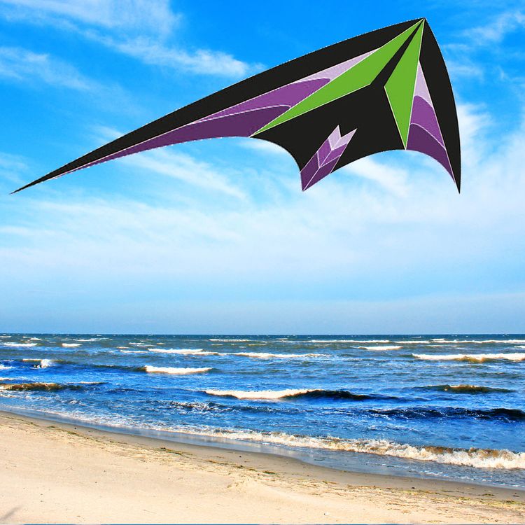 Lenkdrache Optimus bunt Zweileiner 4 mm Fiberglas 160 cm Drache Lenkdrache Optimus bunt Zweileiner ab 6 Jahre 4 mm Fiberglas 160 cm Drache Herbst Drachen steigen Ostsee Nordsee