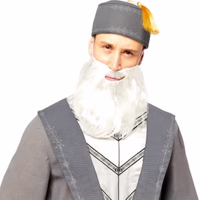 Dumbledore Kostüm Harry Potters Schulleiter für Herren Gr. M-XL grau Fasching Karneval Mottoparty Paar- und Gruppenkostüm Lizenzkostüm