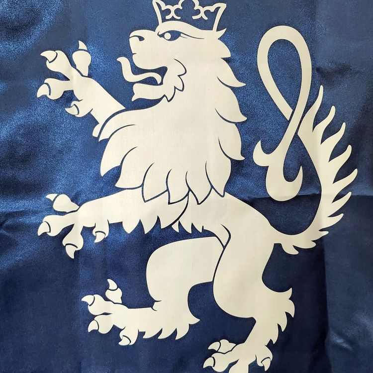 Ritter Kostüm Königs-Umhang blau 77 cm lang mit Löwen-Emblem für Kinder Ritter-Umhang Ritterfest Mittelalterfest Ritterturnier Rollenspiel Fasching Karneval Mottoparty Kindergeburtstag Kinderfasching