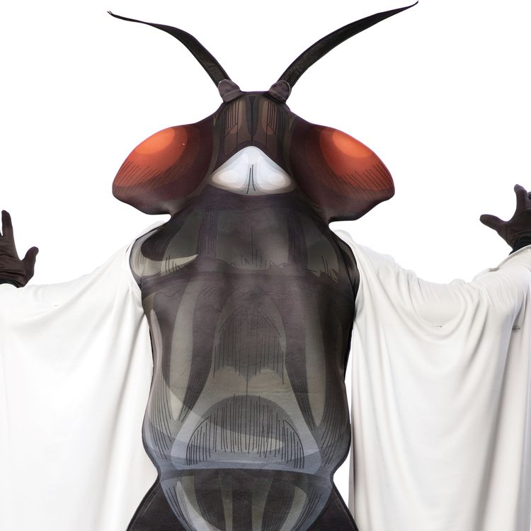 Fliegen Kostüm Schmeißfliege Calli für Erwachsene Fliegen Kostüm Schmeißfliege Calli für Erwachsene Gr. M/L Tier Tierkostüm Unisex Insekt Fasching Karneval Mottoparty lustiges Kostüm Paarkostüm Gruppenkostüm