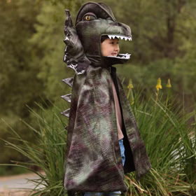 Dinosaurier Kostüm Dilophosaurus Echse für Kinder 4-8 Jahre grün Tier Fasching Karneval Mottoparty Kinderfasching Dino Saurier Dino-Kostüm Urzeit