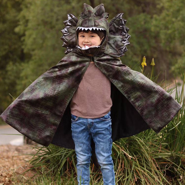 Dinosaurier Kostüm Dilophosaurus Echse für Kinder 4-8 Jahre grün Tier Fasching Karneval Mottoparty Kinderfasching Dino Saurier Dino-Kostüm Urzeit Dinosaurier Kostüm Dilophosaurus Echse für Kinder 4-8 Jahre grün Tier Fasching Karneval Mottoparty Kinderfasching Dino Saurier Dino-Kostüm Urzeit