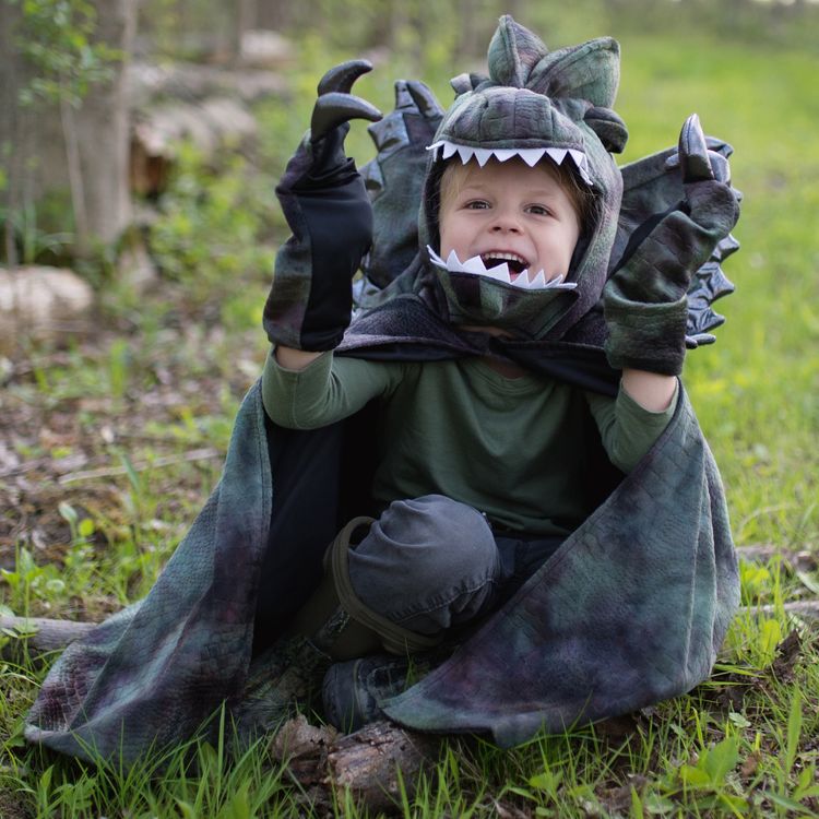 Dinosaurier Kostüm Dilophosaurus Echse für Kinder Dinosaurier Kostüm Dilophosaurus Echse für Kinder 4-8 Jahre grün Tier Fasching Karneval Mottoparty Kinderfasching Dino Saurier Dino-Kostüm Urzeit