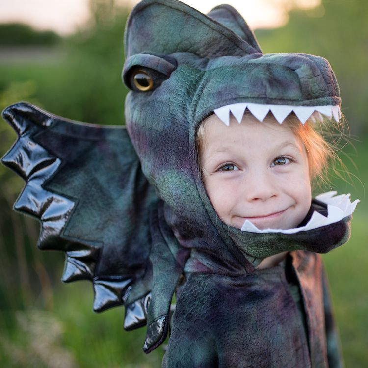 Dinosaurier Kostüm Dilophosaurus Echse für Kinder Dinosaurier Kostüm Dilophosaurus Echse für Kinder 4-8 Jahre grün Tier Fasching Karneval Mottoparty Kinderfasching Dino Saurier Dino-Kostüm Urzeit