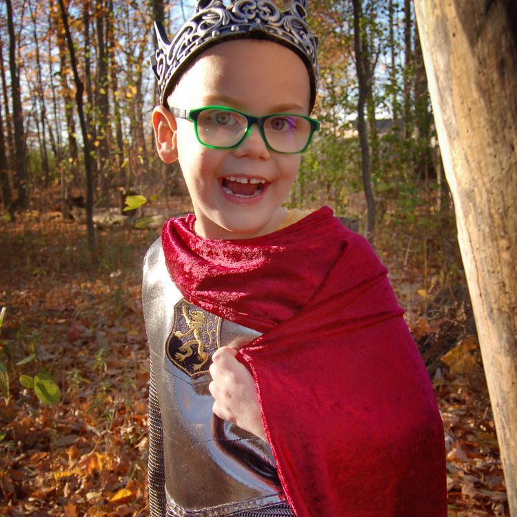 Ritter Kostüm Mutiger Silberritter Löwenherz für Kinder 5-10 Jahre Fasching Karneval Mottoparty Kinderfasching Rollenspiel Ritterfest Ritterturnier Mittelalter Mittelalterfest