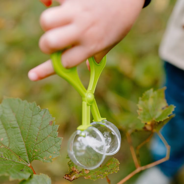 Naturforscher Kostüm Ranger Finn mit Zubehör für Kinder 5-6 Jahre Beruf Paläontologe Forscher Fasching Karneval Mottoparty Kinderfasching Rollenspiel Kostüm-Zubehör Spielzeug Insekten-Beobachtungsglas Naturforscher Kostüm Ranger Finn mit Zubehör für Kinder 5-6 Jahre Beruf Paläontologe Forscher Fasching Karneval Mottoparty Kinderfasching Rollenspiel Kostüm-Zubehör Spielzeug Insekten-Beobachtungsglas