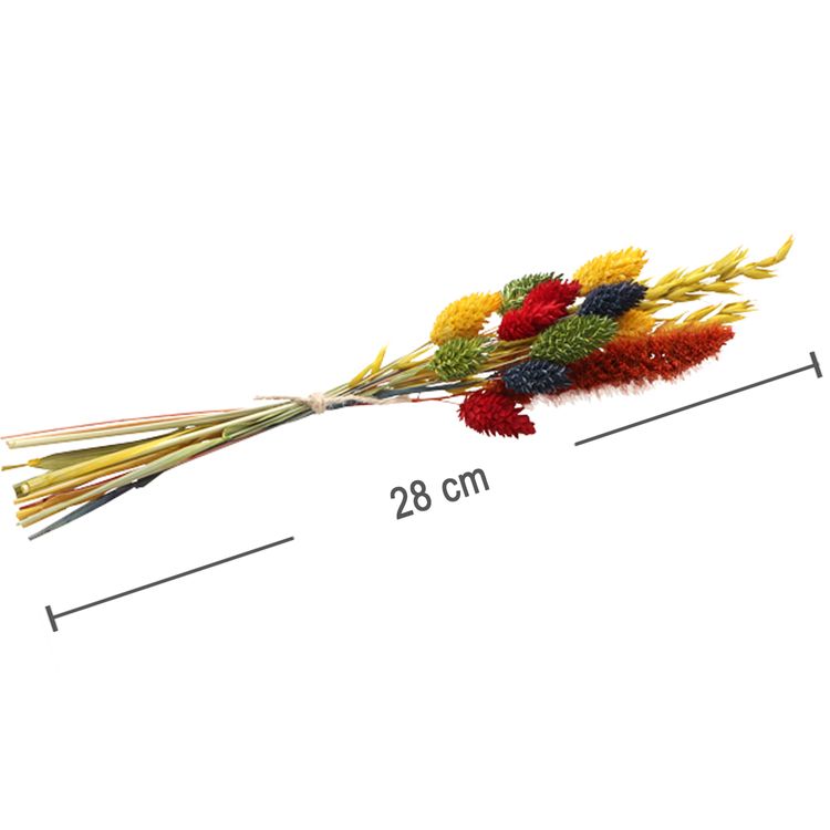 Blumenstrauß getrocknet 28 cm Trockenfloristik Herbst Getreide bunt Deko Basteln Blumenstrauß getrocknet 28 cm Trockenfloristik Herbst Getreide bunt Deko Basteln Hochzeit Geburtstag Garten-Party Blumen Herbst-Deko Dekoration