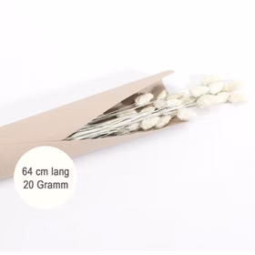 Getrocknetes Phalaris-Kanariengras Weiß 20g 64 cm lang Deko Hochzeit Geburtstag Blumen-Deko Garten-Party Vintage Blumengebinde Trockenfloristik Tisch-Deko Basteln Getrocknetes Phalaris-Kanariengras Weiß 20g 64 cm lang Deko Hochzeit Geburtstag Blumen-Deko Garten-Party Vintage Blumengebinde Trockenfloristik Tisch-Deko Basteln