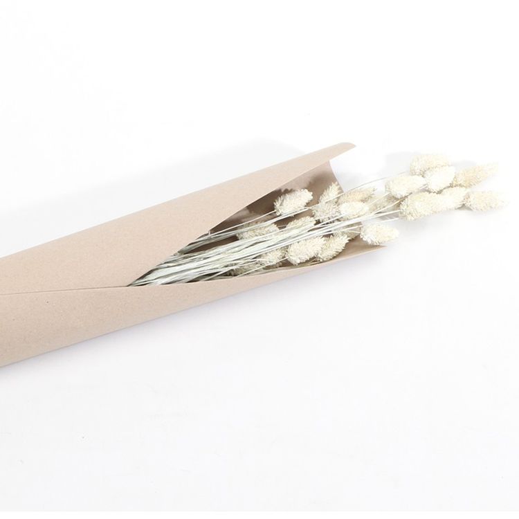 Getrocknetes Phalaris Kanariengras 60-64 cm lang Deko Hochzeit Blumen-Deko Getrocknetes Phalaris-Kanariengras verschiedene Farben 20g 64 cm lang Deko Hochzeit Geburtstag Blumen-Deko Garten-Party Vintage Blumengebinde Trockenfloristik Tisch-Deko Basteln