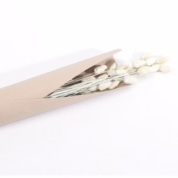 Getrocknetes Phalaris-Kanariengras Weiß 20g 64 cm lang Deko Hochzeit Geburtstag Blumen-Deko Garten-Party Vintage Blumengebinde Trockenfloristik Tisch-Deko Basteln Getrocknetes Phalaris-Kanariengras Weiß 20g 64 cm lang Deko Hochzeit Geburtstag Blumen-Deko Garten-Party Vintage Blumengebinde Trockenfloristik Tisch-Deko Basteln
