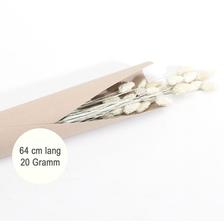 Getrocknetes Phalaris Kanariengras 60-64 cm lang Deko Hochzeit Blumen-Deko Getrocknetes Phalaris-Kanariengras verschiedene Farben 20g 64 cm lang Deko Hochzeit Geburtstag Blumen-Deko Garten-Party Vintage Blumengebinde Trockenfloristik Tisch-Deko Basteln