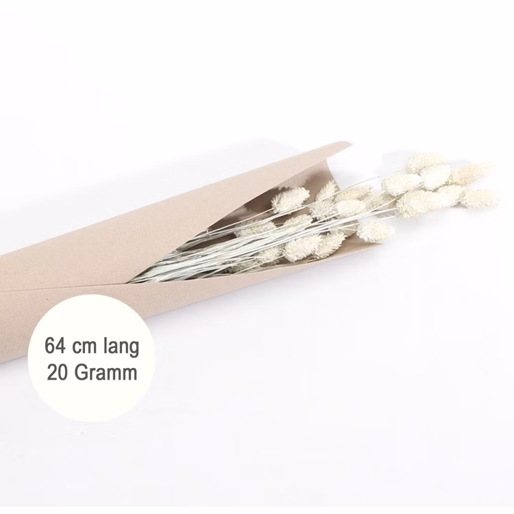 Getrocknetes Phalaris-Kanariengras Weiß 20g 64 cm lang Deko Hochzeit Geburtstag Blumen-Deko Garten-Party Vintage Blumengebinde Trockenfloristik Tisch-Deko Basteln Getrocknetes Phalaris-Kanariengras Weiß 20g 64 cm lang Deko Hochzeit Geburtstag Blumen-Deko Garten-Party Vintage Blumengebinde Trockenfloristik Tisch-Deko Basteln