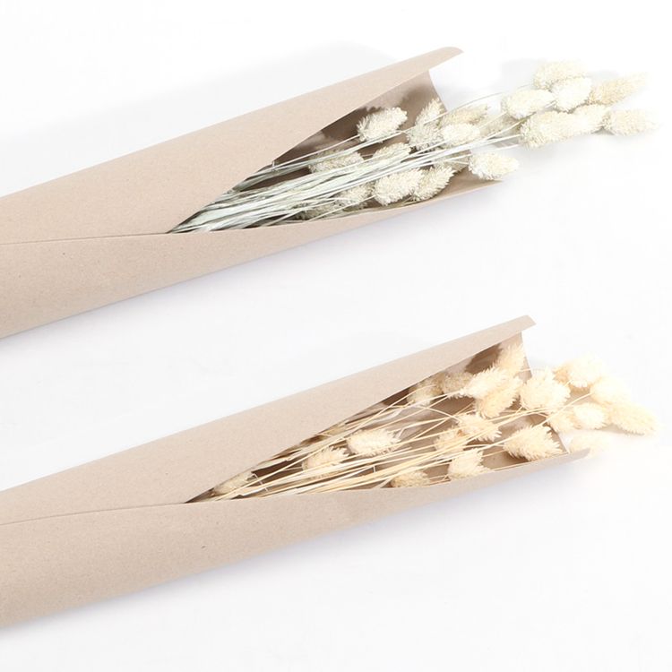 Getrocknetes Phalaris Kanariengras 60-64 cm lang Deko Hochzeit Blumen-Deko Getrocknetes Phalaris-Kanariengras verschiedene Farben 20g 64 cm lang Deko Hochzeit Geburtstag Blumen-Deko Garten-Party Vintage Blumengebinde Trockenfloristik Tisch-Deko Basteln
