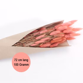 Strauß Lagurus Rosa 100g 72 cm Trockenblumen Lagurus Schilfgras Deko Wohn-Deko Schilfgras Tisch-Deko Herbst Dekoration Wohn-Accessoires Blumenstrauß Basteln & Dekorieren Strauß Lagurus Rosa 100g 72 cm Trockenblumen Lagurus Schilfgras Deko Wohn-Deko Schilfgras Tisch-Deko Herbst Dekoration Wohn-Accessoires Blumenstrauß Basteln & Dekorieren