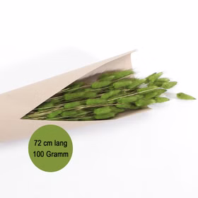 Strauß Lagurus Rosa 100g 72 cm Trockenblumen Lagurus Schilfgras Deko Wohn-Deko Schilfgras Tisch-Deko Herbst Dekoration Wohn-Accessoires Blumenstrauß Basteln & Dekorieren Strauß Lagurus Rosa 100g 72 cm Trockenblumen Lagurus Schilfgras Deko Wohn-Deko Schilfgras Tisch-Deko Herbst Dekoration Wohn-Accessoires Blumenstrauß Basteln & Dekorieren