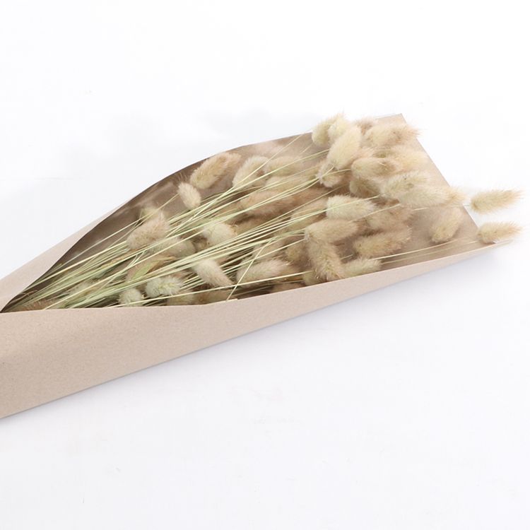 Strauß Lagurus 100g 72 cm Trockenblumen Schilfgras Deko Strauß Lagurus Rosa Grün Natur 100g 72 cm Trockenblumen Lagurus Schilfgras Deko Wohn-Deko Schilfgras Tisch-Deko Herbst Dekoration Wohn-Accessoires Blumenstrauß Basteln & Dekorieren