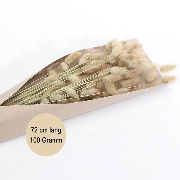 Strauß Lagurus 100g 72 cm Trockenblumen Schilfgras Deko Strauß Lagurus Rosa Grün Natur 100g 72 cm Trockenblumen Lagurus Schilfgras Deko Wohn-Deko Schilfgras Tisch-Deko Herbst Dekoration Wohn-Accessoires Blumenstrauß Basteln & Dekorieren