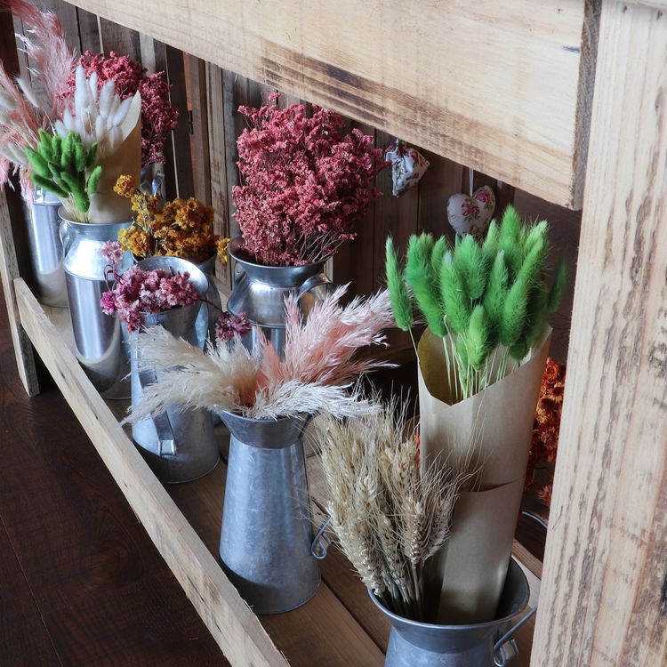 Strauß Lagurus 100g 72 cm Trockenblumen Schilfgras Deko Strauß Lagurus Rosa Grün Natur 100g 72 cm Trockenblumen Lagurus Schilfgras Deko Wohn-Deko Schilfgras Tisch-Deko Herbst Dekoration Wohn-Accessoires Blumenstrauß Basteln & Dekorieren