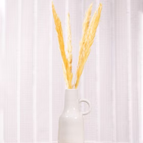Getrocknetes Pampasgras Gelb 6 Stück 65-75 cm lang Trockenblumen Deko Tisch-Deko Hochzeit Geburtstag Garten-Party Sommerfest Wohn-Accessoire Wohn-Deko Vasen-Deko Dekoideen