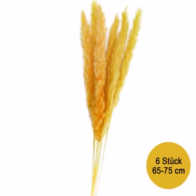 Getrocknetes Pampasgras Gelb 6 Stück 65-75 cm lang Trockenblumen Deko Tisch-Deko Hochzeit Geburtstag Garten-Party Sommerfest Wohn-Accessoire Wohn-Deko Vasen-Deko Dekoideen