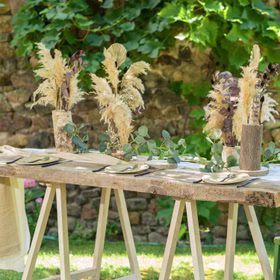Getrocknetes Pampasgras 6 Stück 65-75 cm lang Trockenblumen Deko Tisch-Deko Hochzeit Geburtstag Garten-Party Sommerfest Wohn-Accessoire Wohn-Deko Vasen-Deko Dekoideen