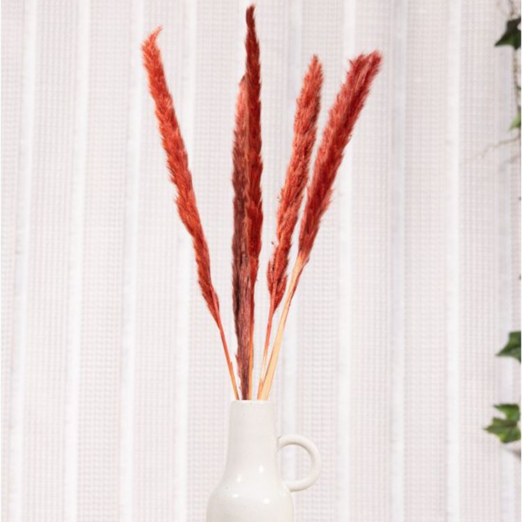 Getrocknetes Pampasgras 6 Stück 65-75 cm lang Trockenblumen Deko Getrocknetes Pampasgras Rot Gelb 6 Stück 65-75 cm lang Trockenblumen Deko Tisch-Deko Hochzeit Geburtstag Garten-Party Sommerfest Wohn-Accessoire Wohn-Deko Vasen-Deko Dekoideen