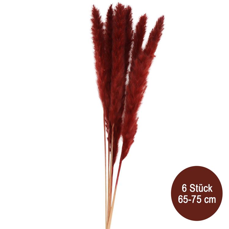 Getrocknetes Pampasgras 6 Stück 65-75 cm lang Trockenblumen Deko Getrocknetes Pampasgras Rot Gelb 6 Stück 65-75 cm lang Trockenblumen Deko Tisch-Deko Hochzeit Geburtstag Garten-Party Sommerfest Wohn-Accessoire Wohn-Deko Vasen-Deko Dekoideen