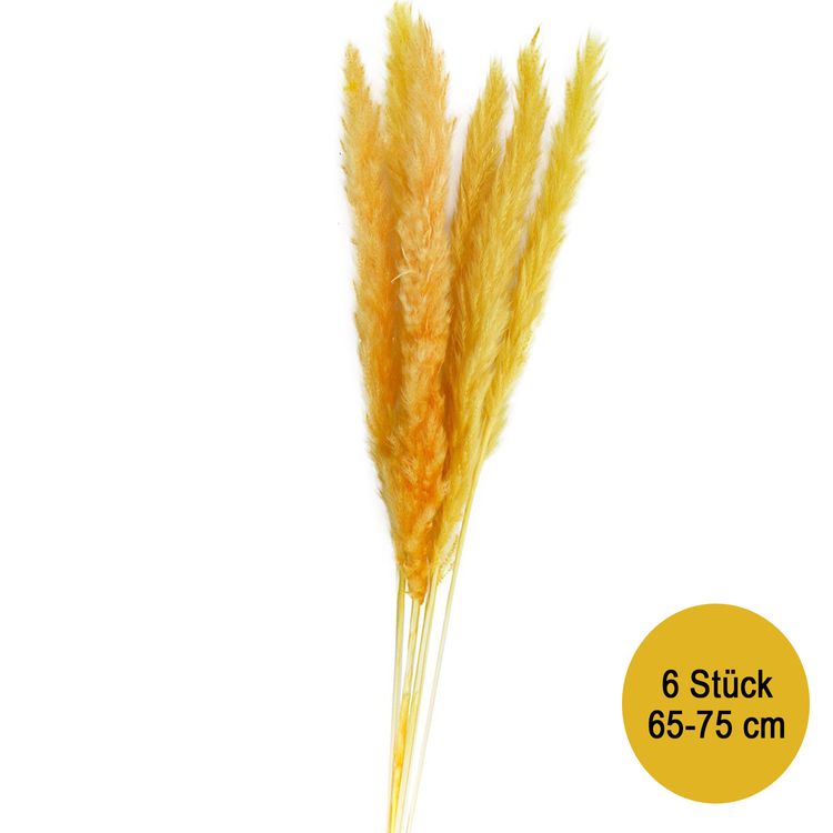 Getrocknetes Pampasgras 6 Stück 65-75 cm lang Trockenblumen Deko Getrocknetes Pampasgras Rot Gelb 6 Stück 65-75 cm lang Trockenblumen Deko Tisch-Deko Hochzeit Geburtstag Garten-Party Sommerfest Wohn-Accessoire Wohn-Deko Vasen-Deko Dekoideen