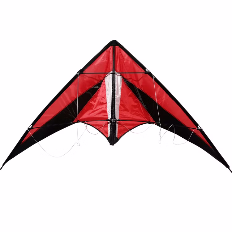 Lenkdrache Rapid rot Zweileiner ab 6 Jahre 4 mm Fiberglas 140 cm Drache Flugdrache Herbst Drachen steigen Ostsee Nordsee Lenkdrache Rapid rot Zweileiner ab 6 Jahre 4 mm Fiberglas 140 cm Drache Flugdrache Herbst Drachen steigen Ostsee Nordsee