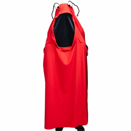 Monster Kostüm Geist Yuki Rot für Einheitsgröße für Erwachsene Damen und Herren Paar- und Gruppenkostüm Fasching Karneval Mottoparty Halloween Rotes Monster Kostüm von Vorne