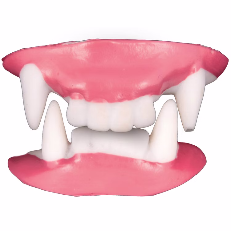Vampir Zähne Oben und Unten Doppel-Gebiss Dracula Eckzähne für Erwachsene Halloween Fasching Karneval Mottoparty Kostüm-Zubehör Accessoire Vampirgebiss von Vorne
