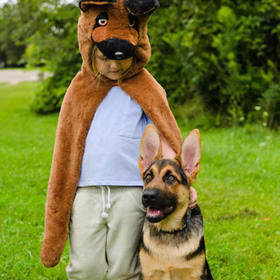 Hunde Kostüm Schäferhund Buddy für Kinder von Vorne auf einer grünen Wiese mit Schäferhund