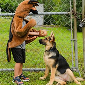 Hunde Kostüm Schäferhund Buddy für Kinder von Vorne auf einer grünen Wiese mit Schäferhund an der linken Seite