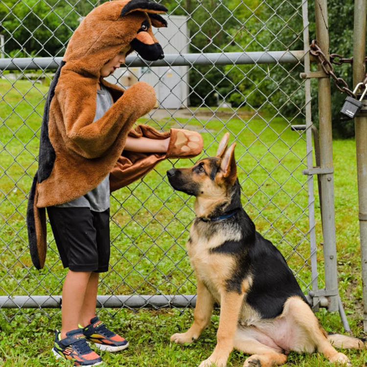 Hunde Kostüm Schäferhund Buddy für Kinder 4-6 Jahre Tierkostüm Fasching Karneval Mottoparty Kindergeburtstag Hunde Kostüm Schäferhund Buddy für Kinder von der Seite auf einer grünen Wiese mit Schäferhund