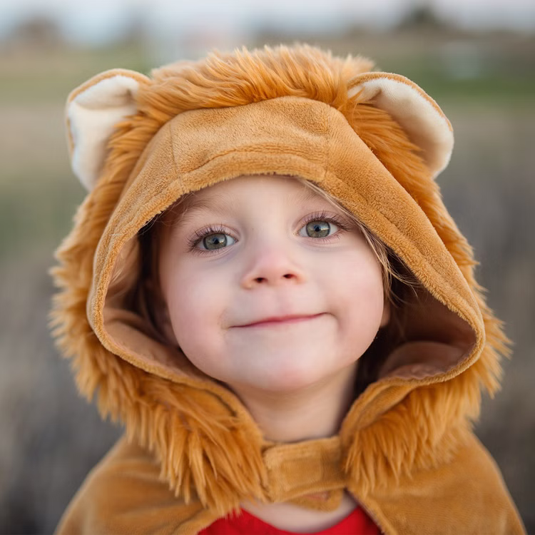 Löwen Kostüm Lio Cape mit Kapuze für Kinder 2-3 Jahre Tierkostüm Tier Fasching Karneval Mottoparty Rollenspiel Geburtstag Löwen Kostüm Lio Cape mit Kapuze für Kinder Nahaufnahme Kapuze mit Löwenmähne von Vorne
