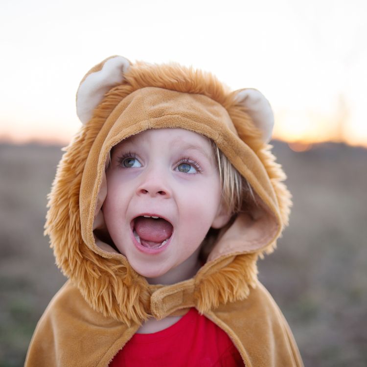 Löwen Kostüm Lio Cape mit Kapuze für Kinder Löwen Kostüm Lio Cape mit Kapuze für Kinder von Vorne