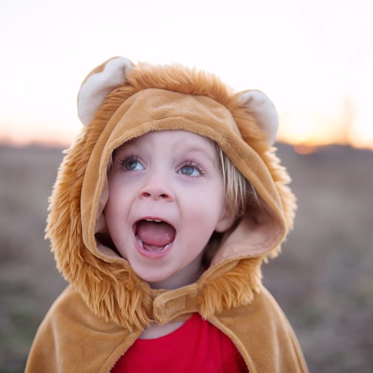 Löwen Kostüm Lio Cape mit Kapuze für Kinder 2-3 Jahre Tierkostüm Tier Fasching Karneval Mottoparty Rollenspiel Geburtstag Löwen Kostüm Lio Cape mit Kapuze für Kinder Nahaufnahme Kapuze