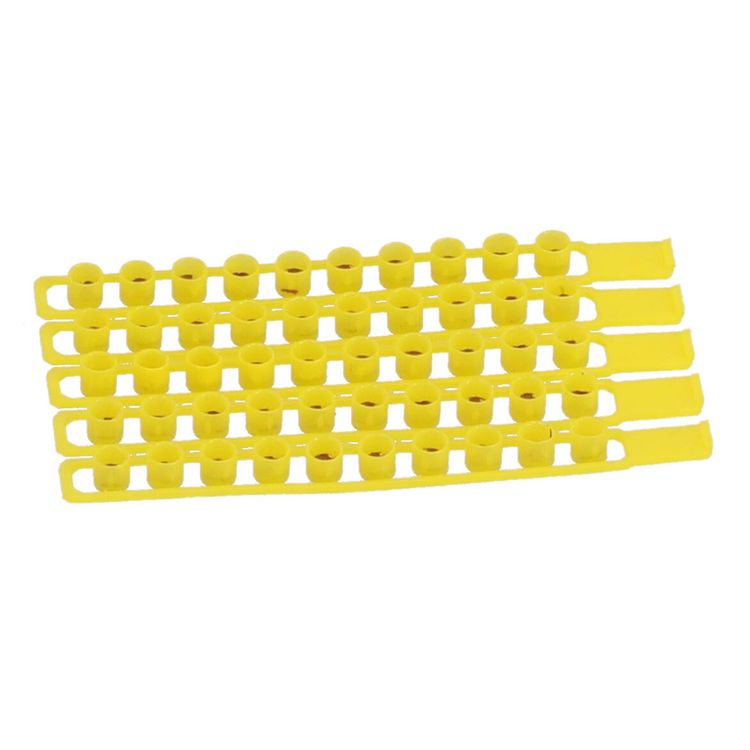 Spielzeug-Munition Einzelschuss Streifen-Munition 100 Schuss Blister für Pistolen Spielzeug-Munition Einzelschuss Streifen-Munition 100 Schuss in der Blisterverpackung von Vorne