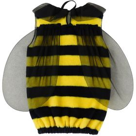 Zwei Kinder in Bienenkostümen mit Flügeln und Fühlern nebeneinander auf weißem Hintergrund.