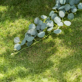 Eukalyptus Girlande 173 cm Grün Pflanzen Deko Hochzeit Geburtstag Basteln Kunstblume Tischdeko Deko-Ideen DIY Bastelbedarf Künstliche Eukalyptus-Girlande mit runden Blättern auf Rasen