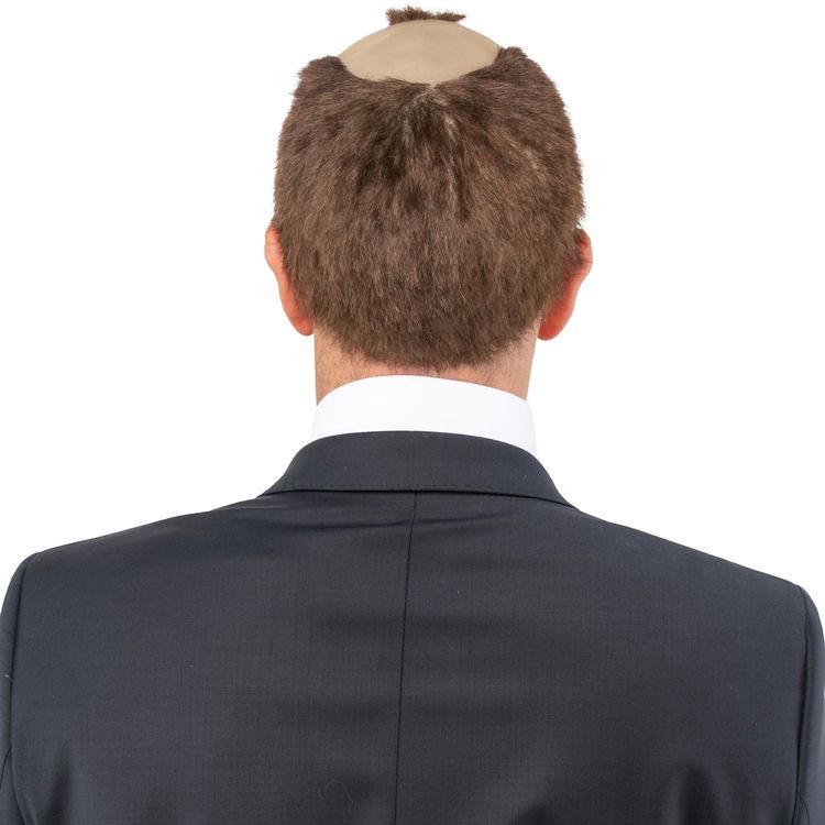 Politiker Perücke Fritze für Herren Ein Mann mit rundem Brillengestell trägt eine witzige Halbglatzen-Perücke aus Latex mit braun-grauen Haaren. Perfekt für humorvolle Auftritte, Fasching oder als Politiker-Parodie.